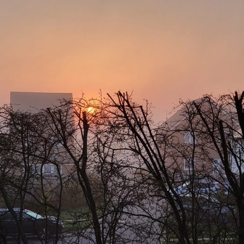 Coxheath Sunrise