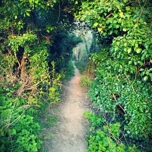 Towards Greensands Way