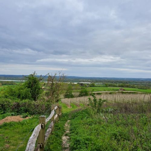 Weald of Kent